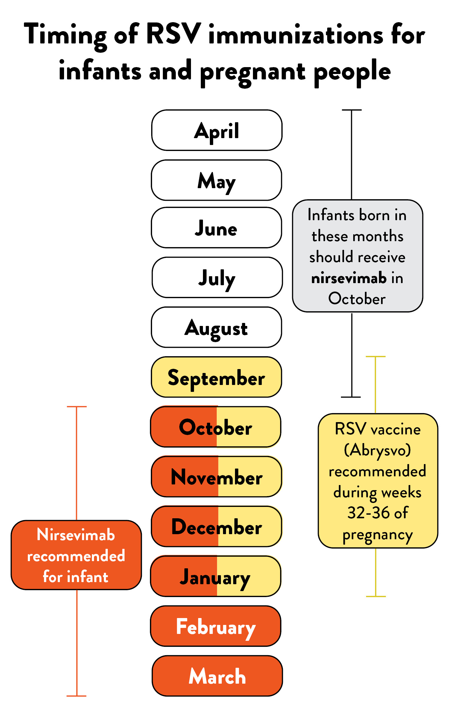 timing of rsv immunizations chart