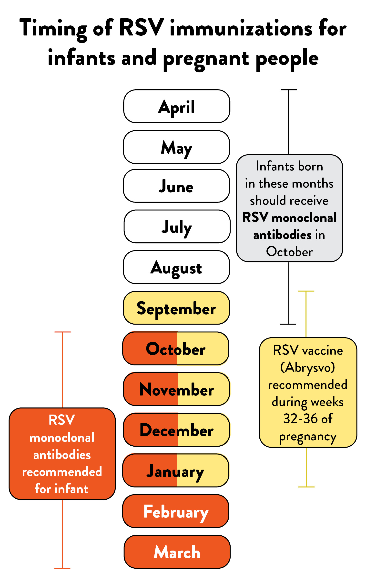 Timing of RSV immunizations chart