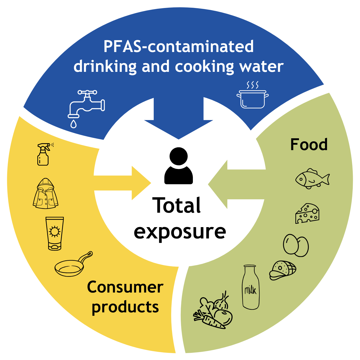 A circular graphic illustrates human PFAS exposure from three sources: PFAS-contaminated drinking and cooking water, various consumer products, and contaminated food items. All paths lead to total exposure.
