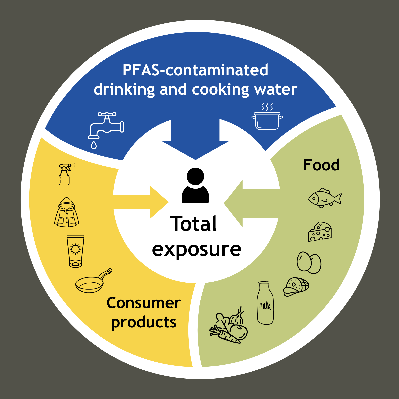 A circular graphic illustrates human PFAS exposure from three sources: PFAS-contaminated drinking and cooking water, various consumer products, and contaminated food items. All paths lead to total exposure.