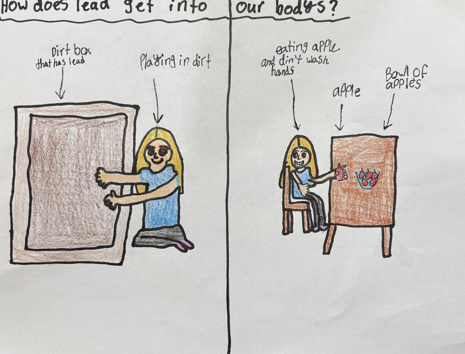 Anna Nash, 5th Grade, handdrawn poster: How does lead get into our bodies?