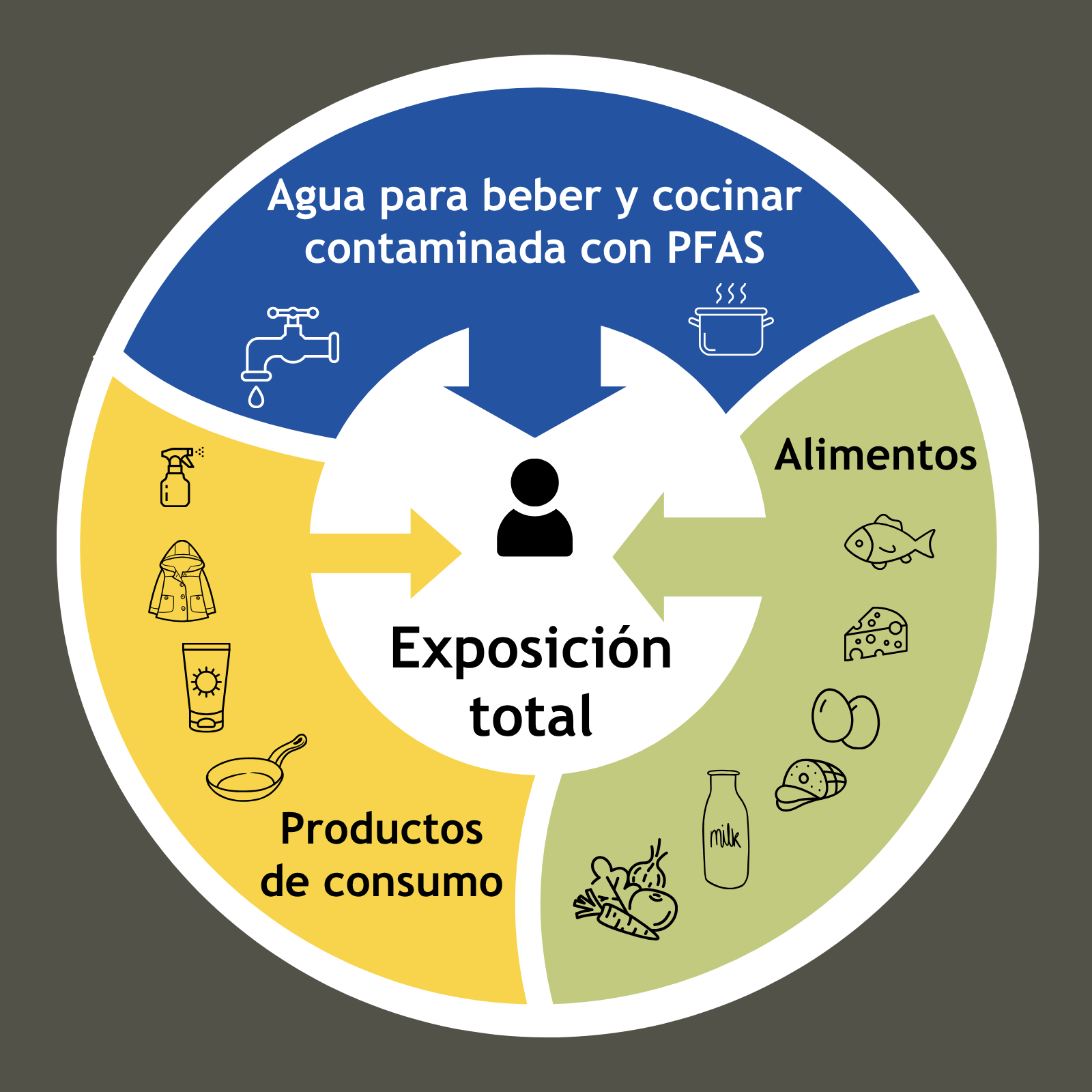 Un gráfico circular ilustra la exposición humana a PFAS procedente de tres fuentes: agua para beber contaminada con PFAS, diversos productos de consumo y alimentos contaminados. Todas las vías conducen a una exposición total.