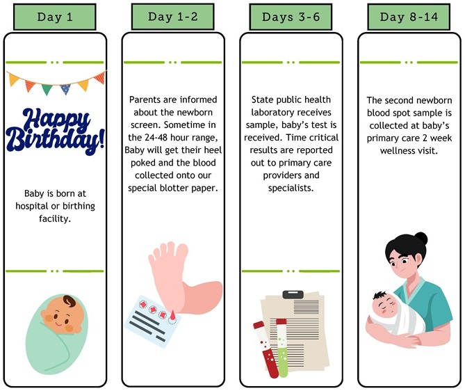 timeline of screening process.