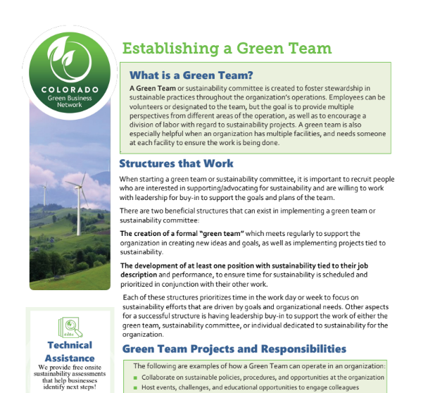 Establishing a green team document preview
