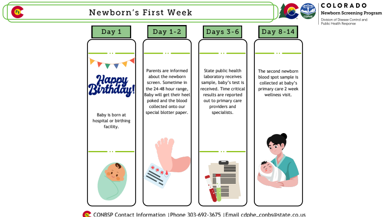 newborn's first week chart