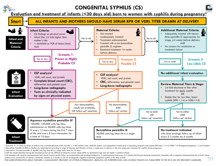 congenital syphilis chart