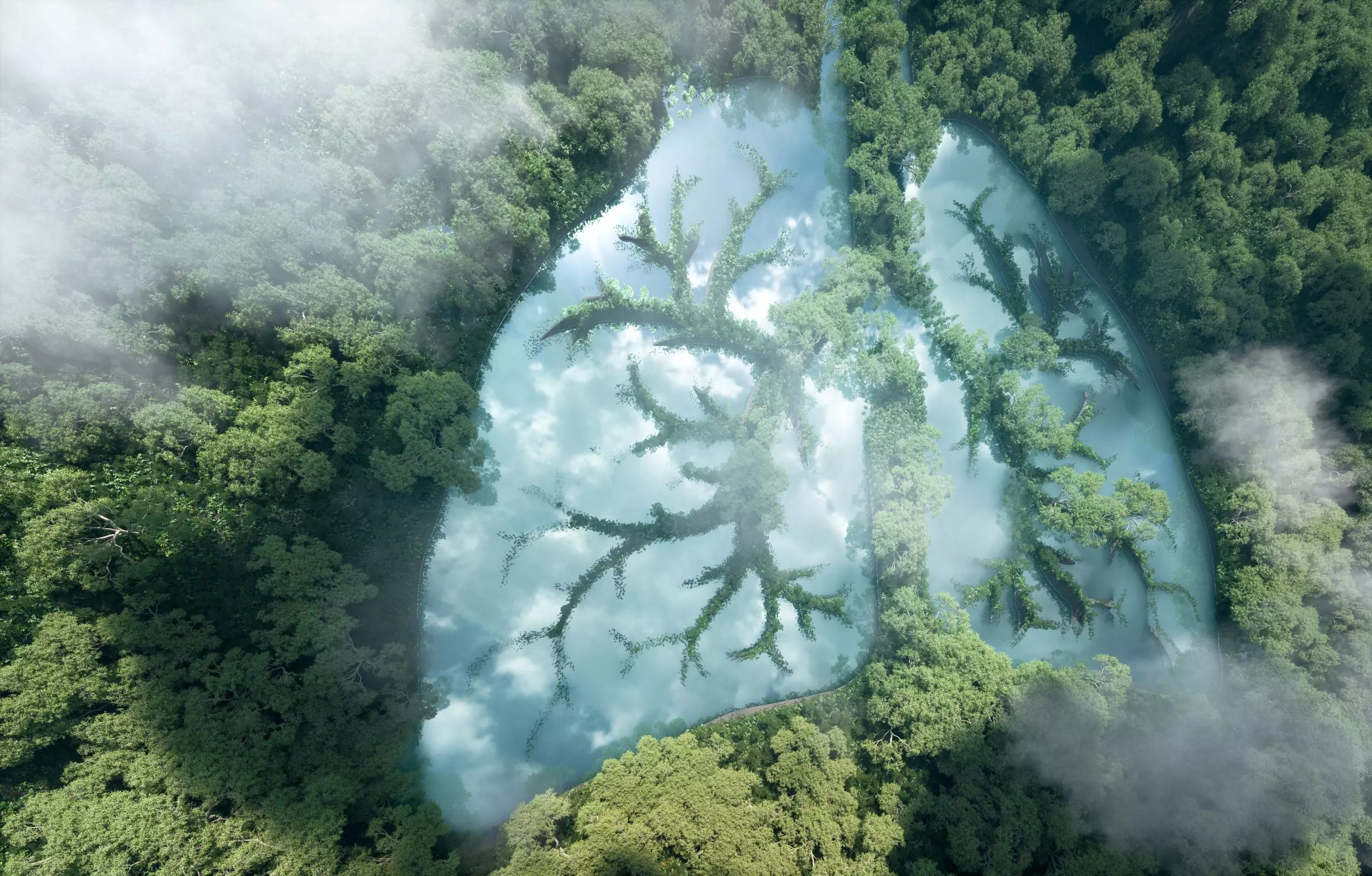 Forest and lake reflection in shape of lungs