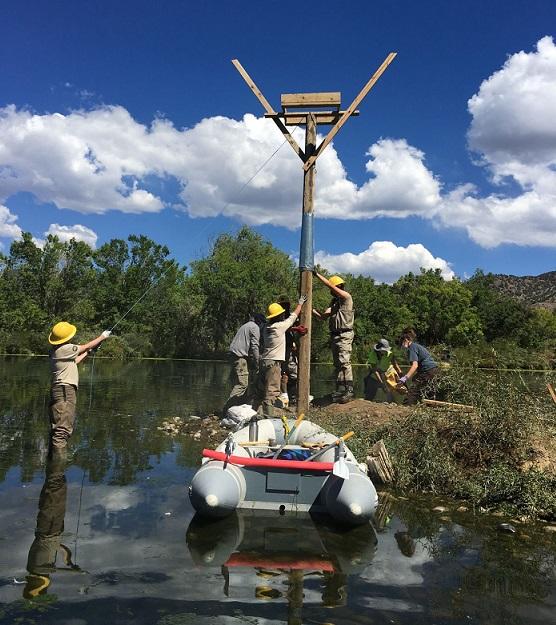 Photo above depicts the construction of an Osprey platform on one of the lakes at the Sands Lake State Wildlife Area.