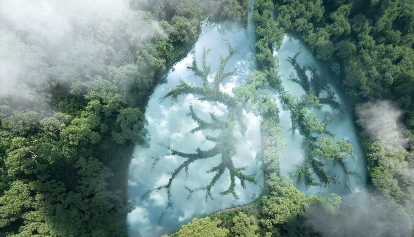 Photo of lungs in a cloud formation over trees