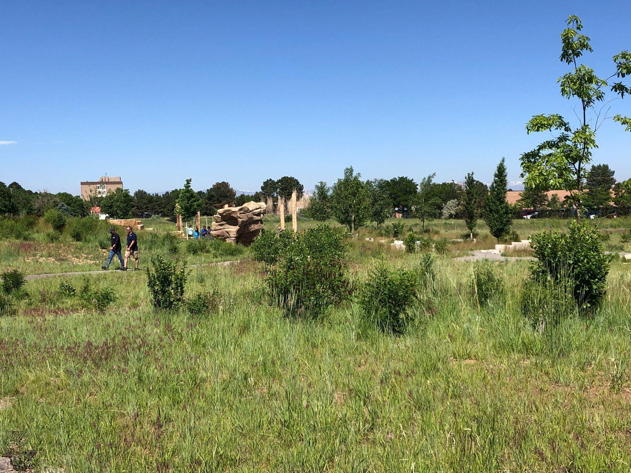 Restoration at Environmental Learning for Kids, Montbello, showing a walking path, various grasses and shrubs, as well as small rock formations