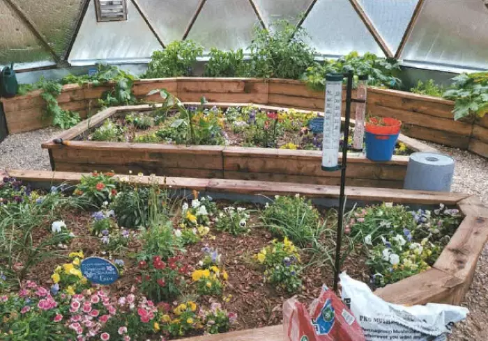 Flowerbeds inside a greenhouse