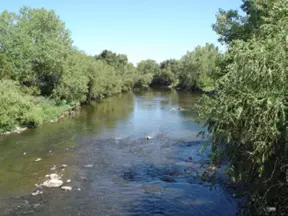 The South Platte River near Overland Park where riffles and pools were created to provide aquatic habitat.