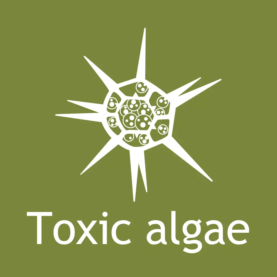 Icon go to toxic algae web page