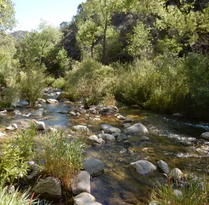 A segment of West Creek above the confluence with the Dolores River, near Gateway, Colorado.