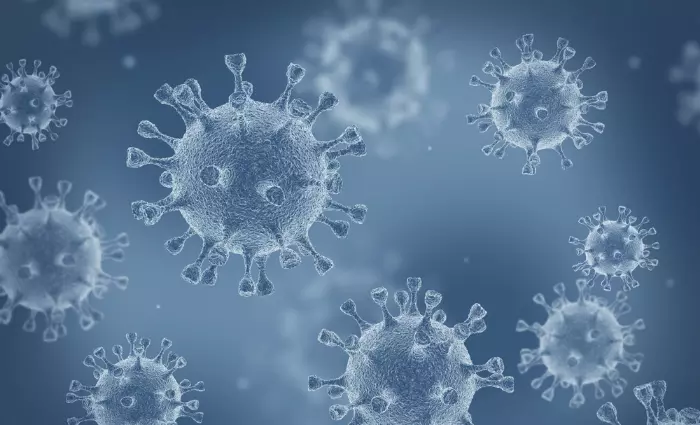 Coronavirus microscopic illustratioin