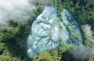 Forest and lake in shape of lungs