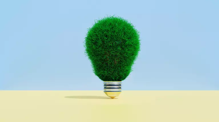 light bulb with leaves instead of glass