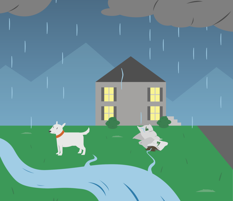 A rainstorm washes pet waste and fertilizers from a yard.