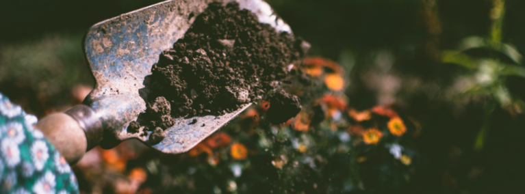 Loose dirt on a gardening spade